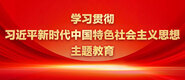 插逼视频四ne学习贯彻习近平新时代中国特色社会主义思想主题教育_fororder_ad-371X160(2)